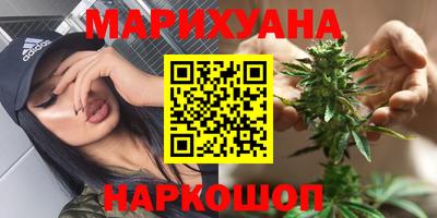 индика Будённовск