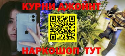 индика Будённовск