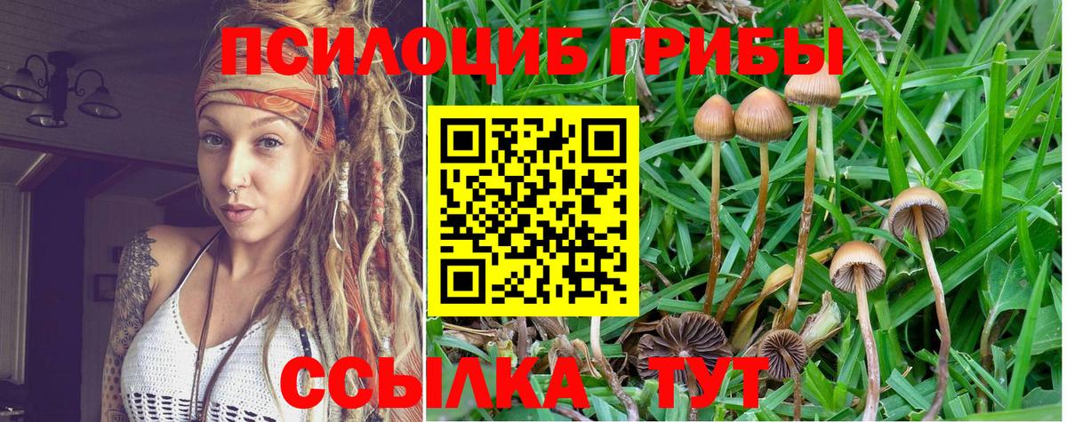 Псилоцибиновые грибы ЛСД  хочу   Галлюциногенные грибы мухоморы  Уссурийск  Вход с VPN 