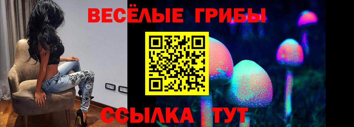 Галлюциногенные грибы GOLDEN TEACHER Уссурийск